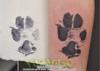 Black and grey pawprint next to original